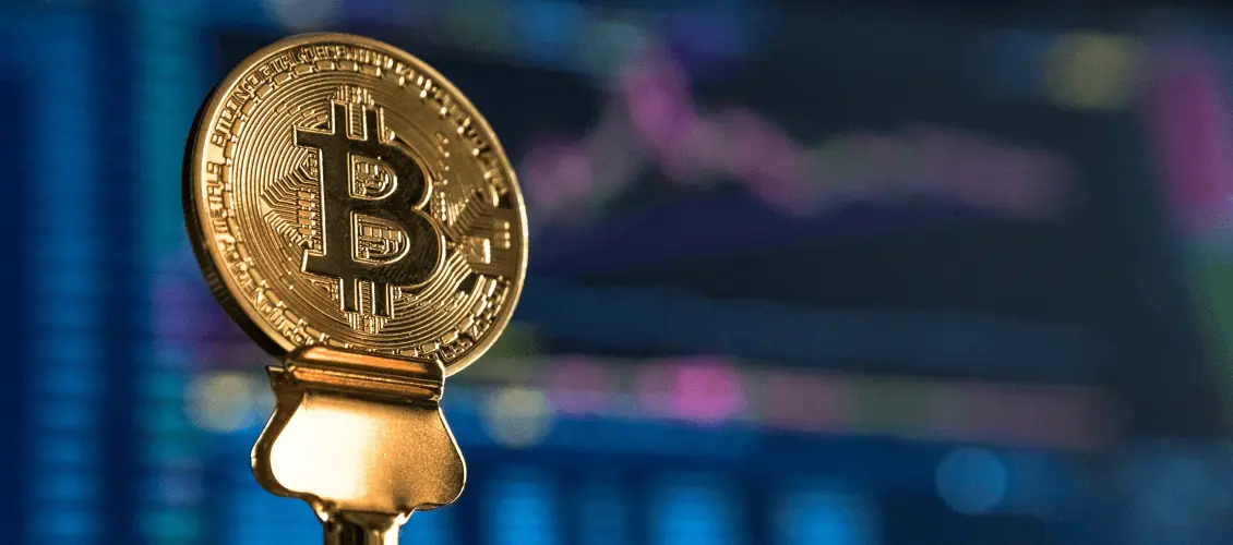 Rapid growth of bitcoin on the market